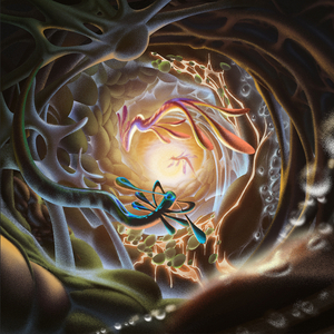 操中国老女人逼
