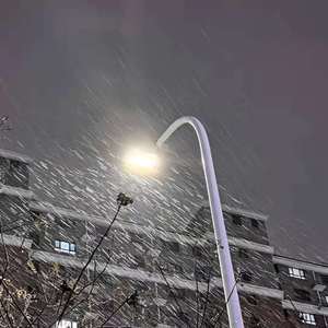 操中国老女人逼
